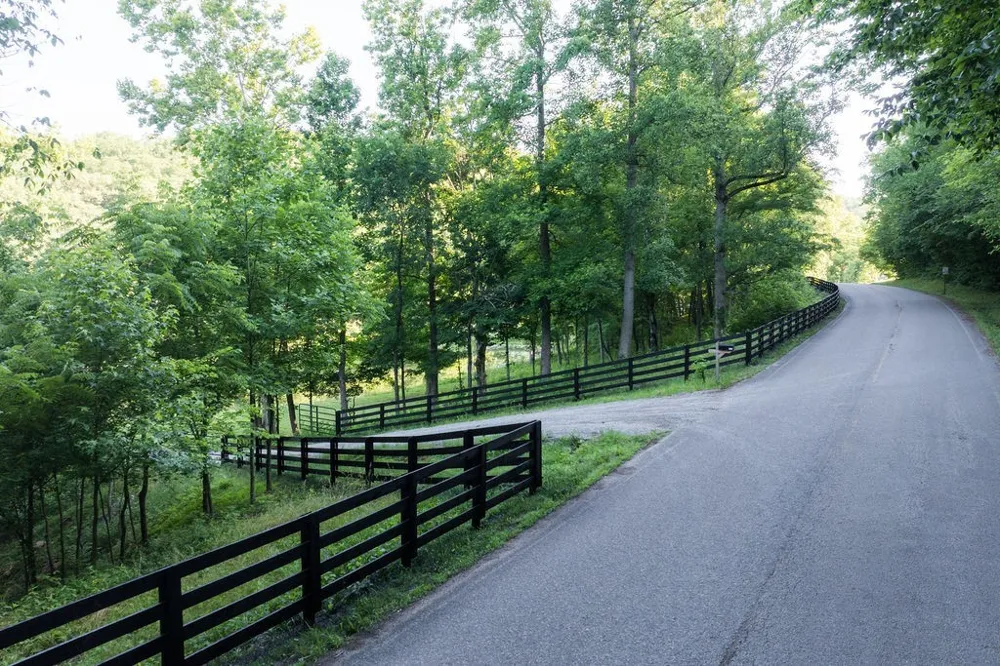 0 Shoals Branch Rd Primm Springs, TN 38476
