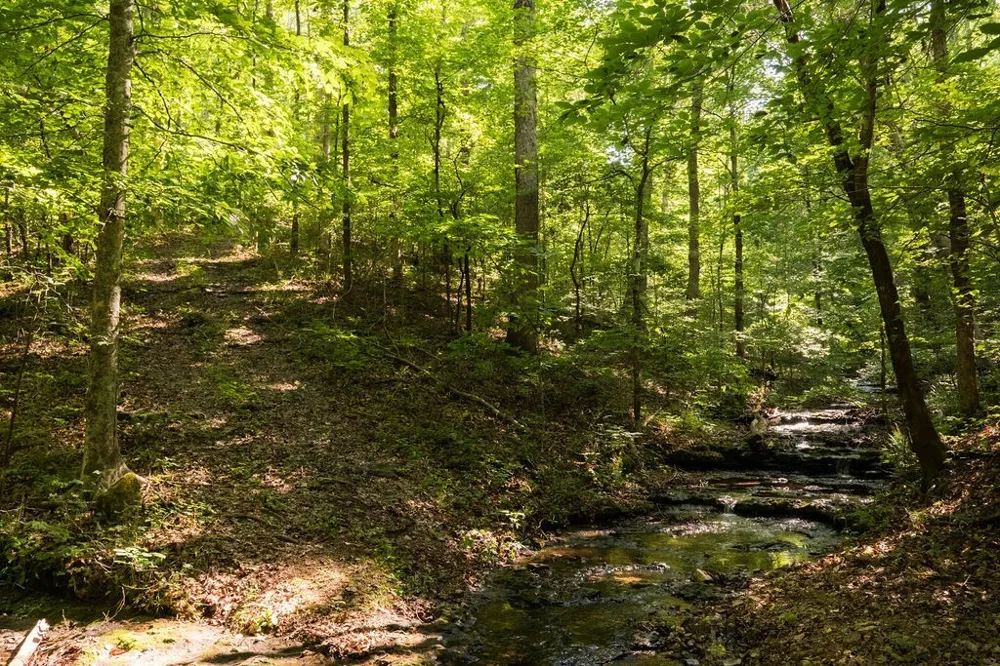 0 Shoals Branch Rd Primm Springs, TN 38476