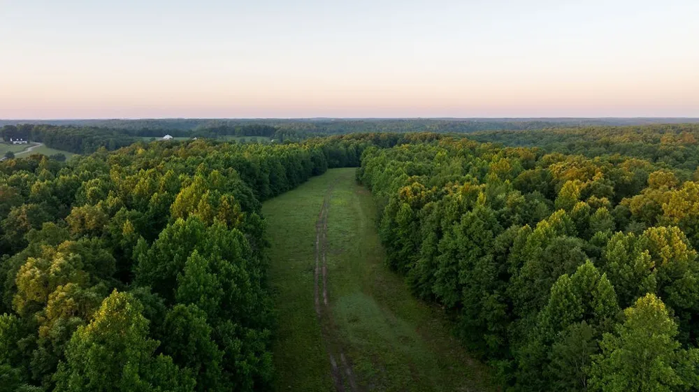 0 Shoals Branch Rd Primm Springs, TN 38476