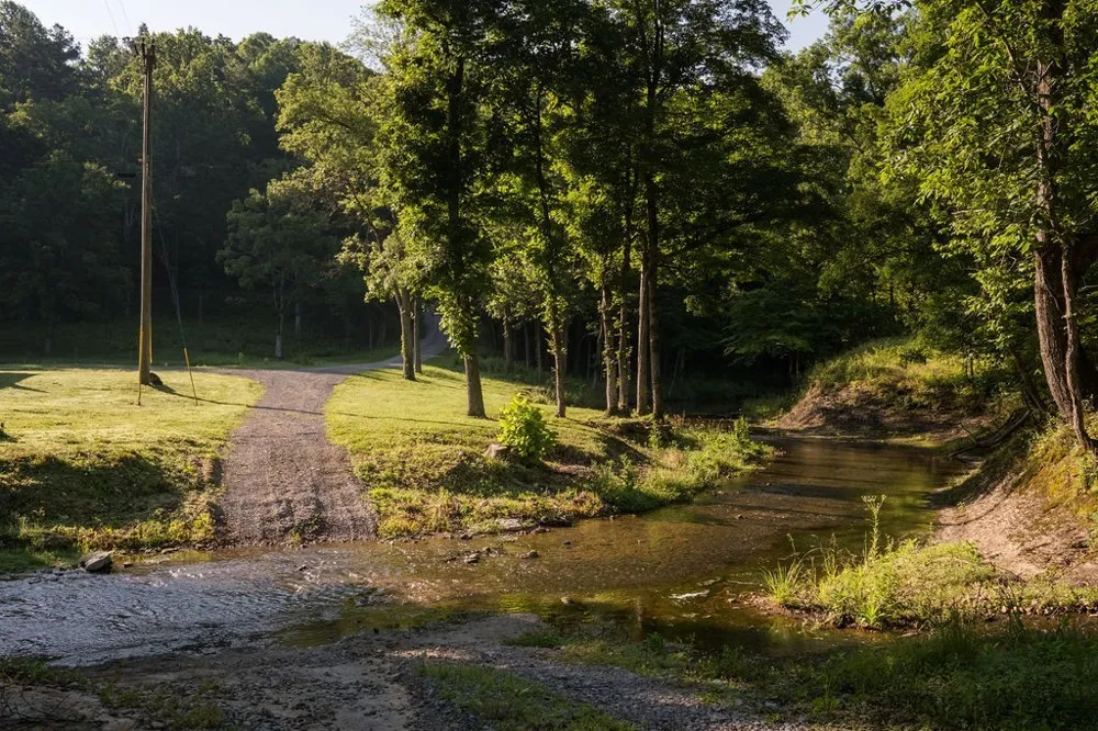 0 Shoals Branch Rd Primm Springs, TN 38476