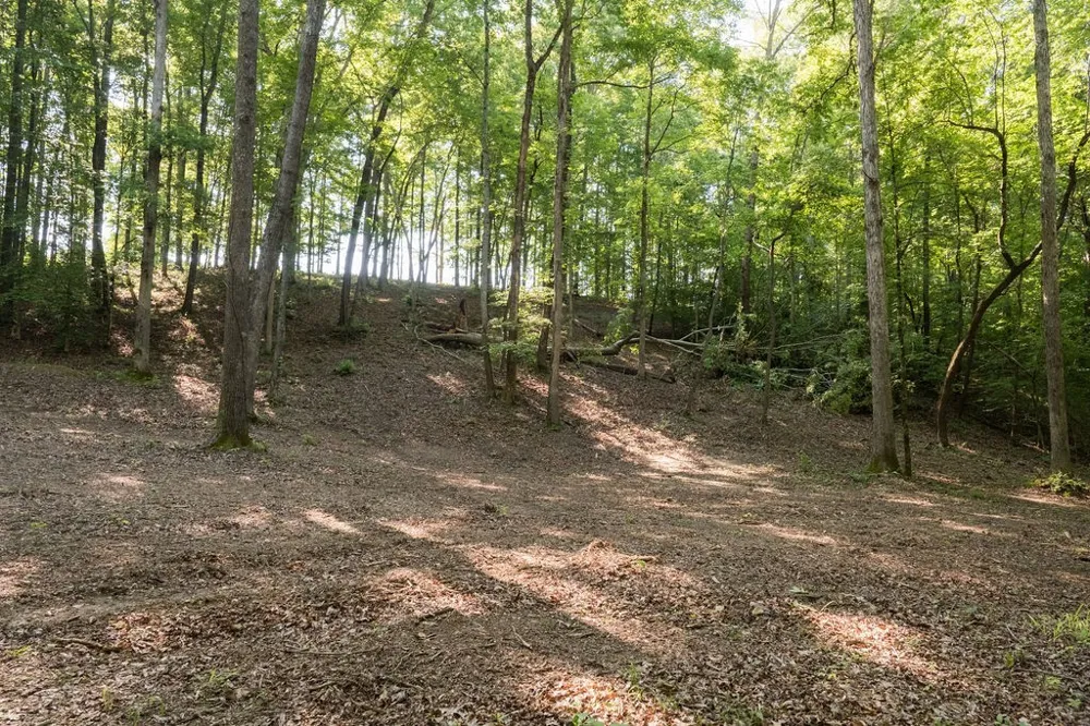 0 Shoals Branch Rd Primm Springs, TN 38476