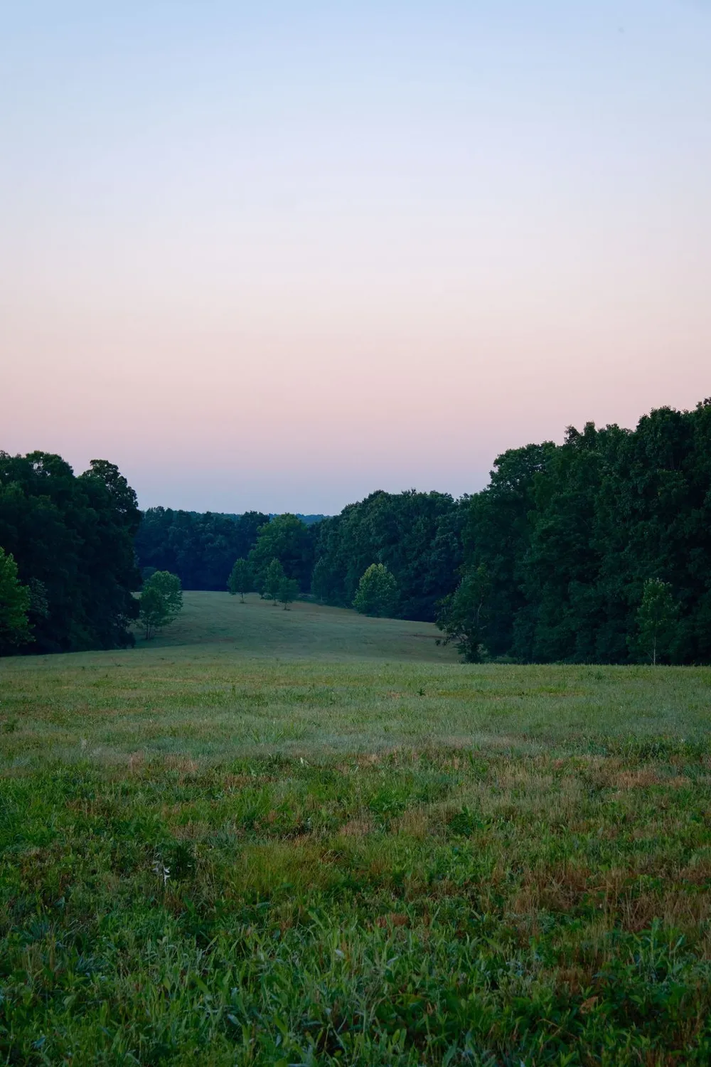 0 Shoals Branch Rd Primm Springs, TN 38476