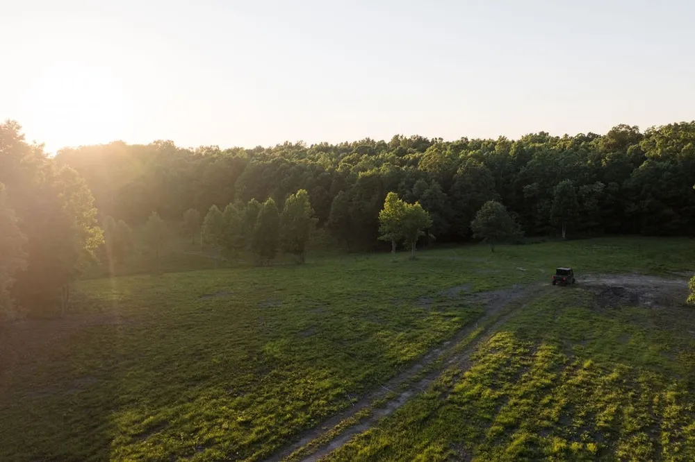 0 Shoals Branch Rd Primm Springs, TN 38476