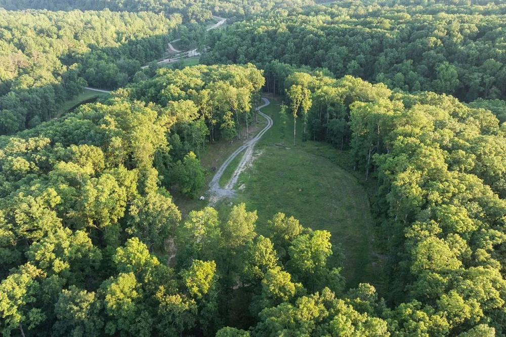0 Shoals Branch Rd Primm Springs, TN 38476