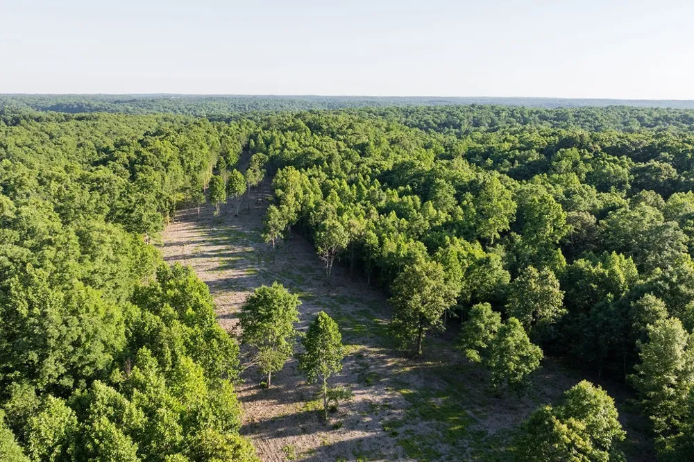 0 Shoals Branch Rd Primm Springs, TN 38476