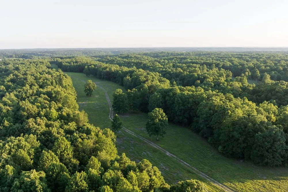 0 Shoals Branch Rd Primm Springs, TN 38476