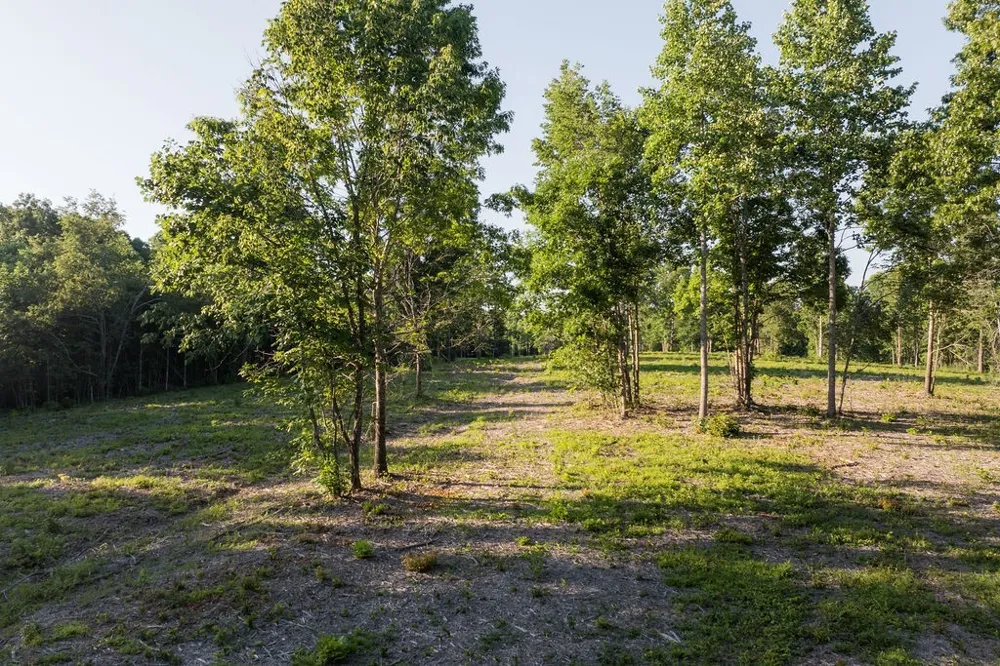 0 Shoals Branch Rd Primm Springs, TN 38476