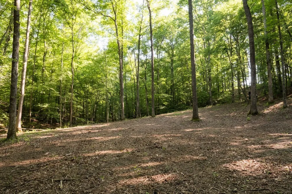 0 Shoals Branch Rd Primm Springs, TN 38476