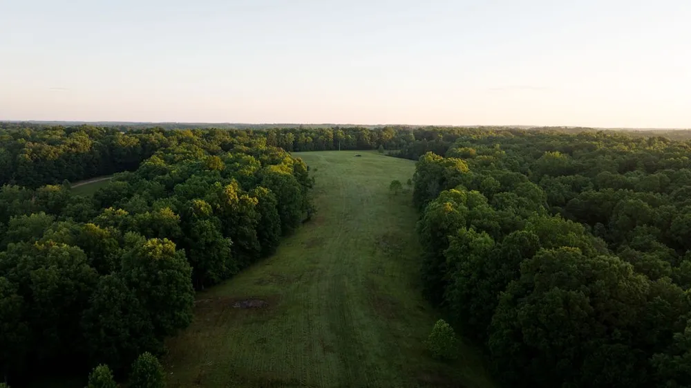 0 Shoals Branch Rd Primm Springs, TN 38476