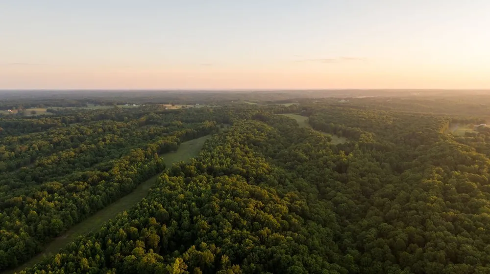 0 Shoals Branch Rd Primm Springs, TN 38476