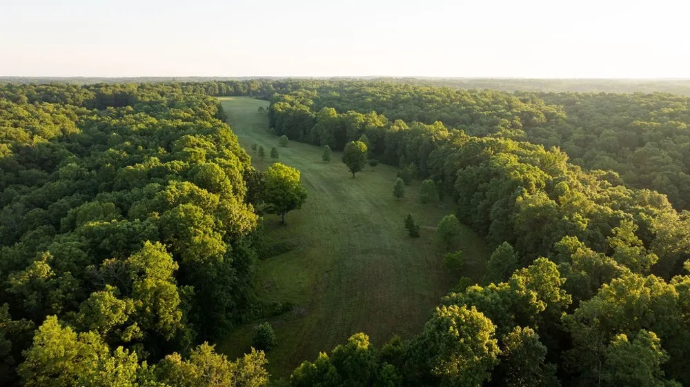 0 Shoals Branch Rd Primm Springs, TN 38476