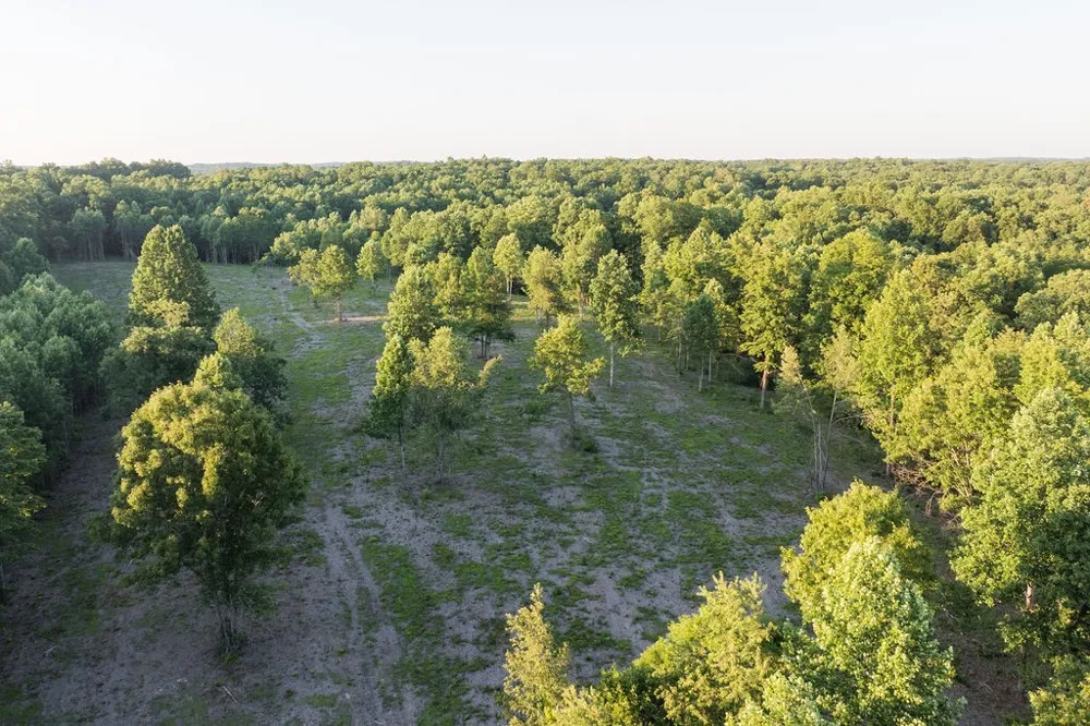 0 Shoals Branch Rd Primm Springs, TN 38476