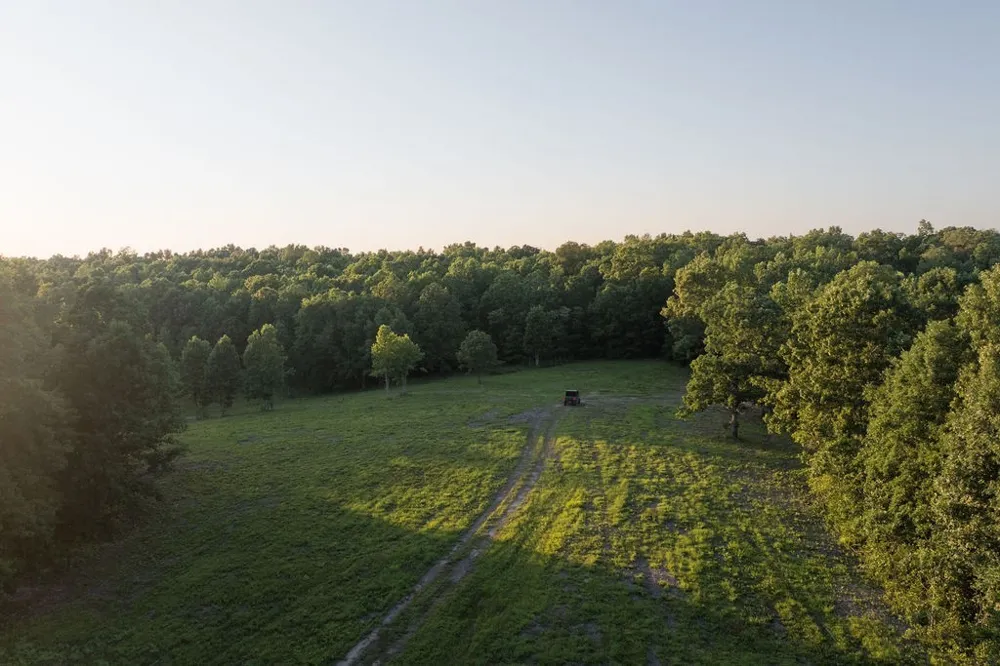 0 Shoals Branch Rd Primm Springs, TN 38476