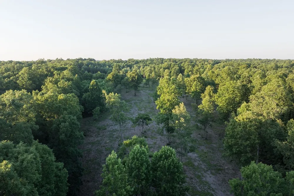 0 Shoals Branch Rd Primm Springs, TN 38476