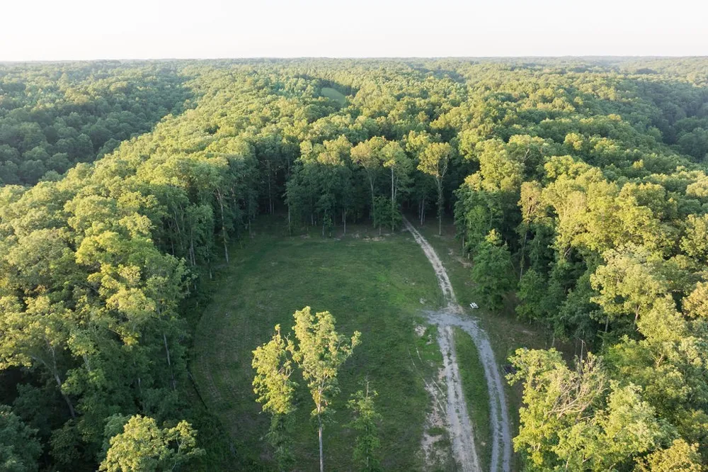 0 Shoals Branch Rd Primm Springs, TN 38476
