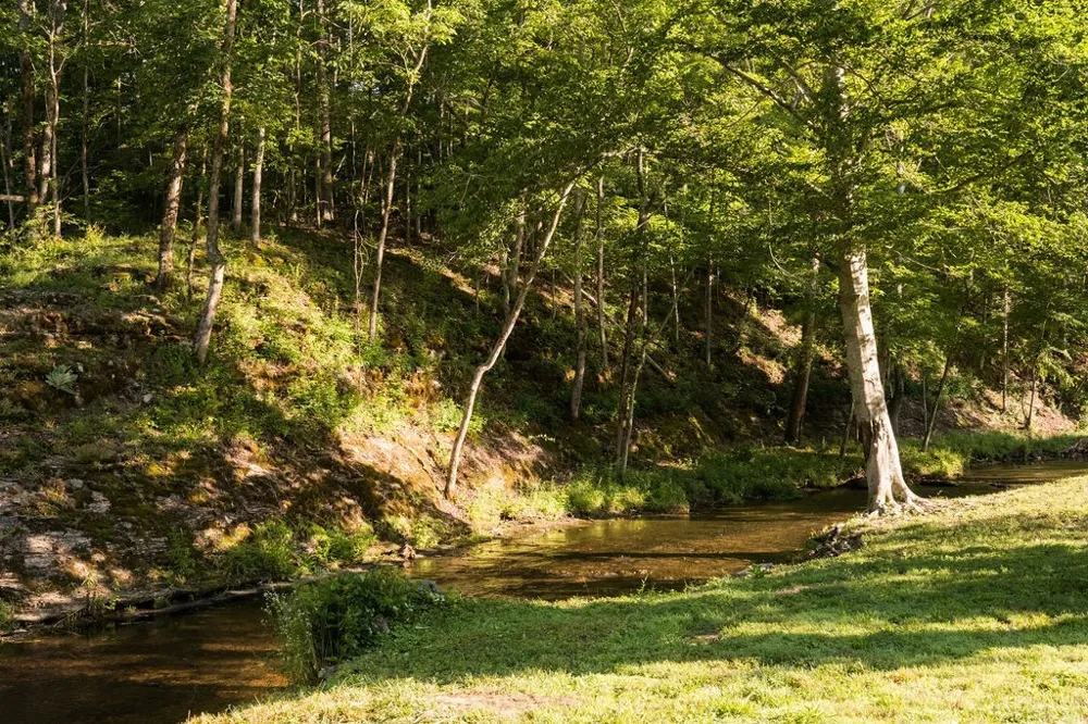 0 Shoals Branch Rd Primm Springs, TN 38476
