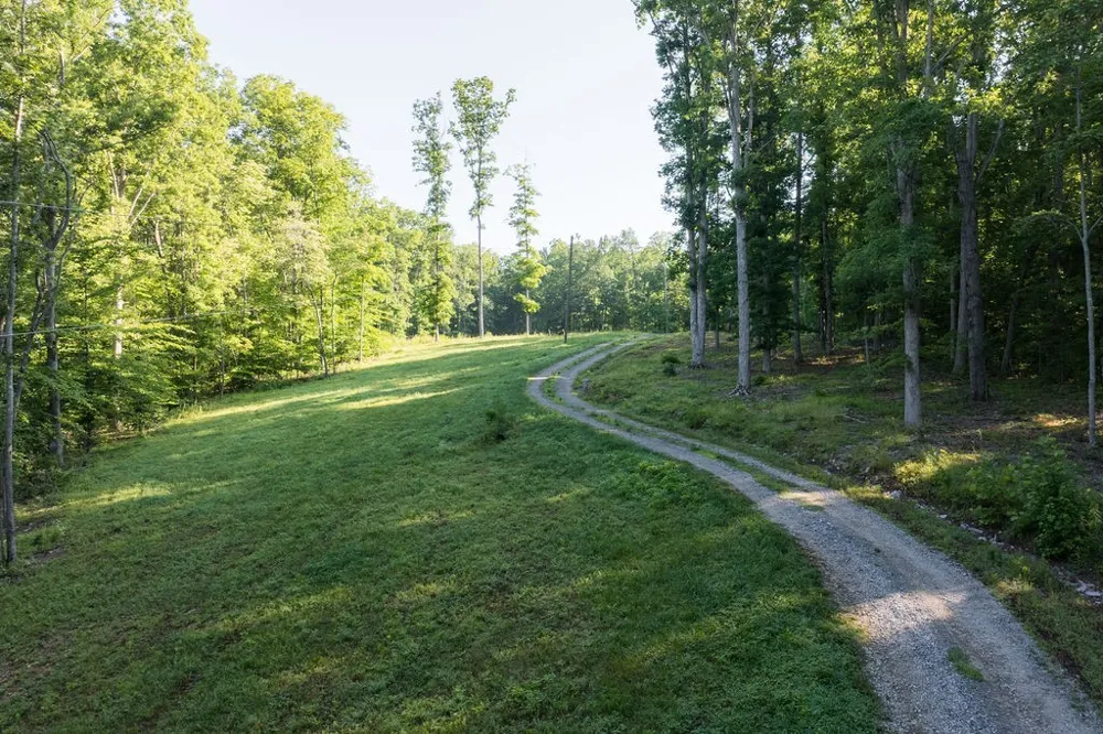 0 Shoals Branch Rd Primm Springs, TN 38476
