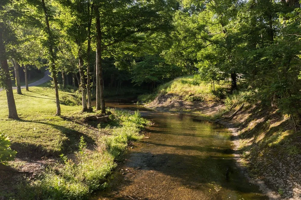 0 Shoals Branch Rd Primm Springs, TN 38476