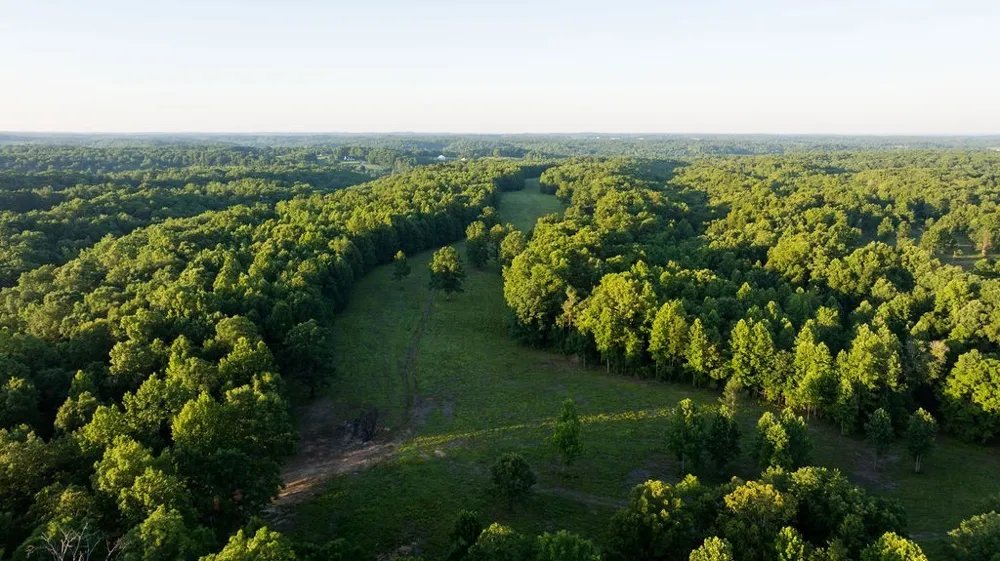 0 Shoals Branch Rd Primm Springs, TN 38476