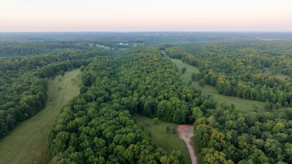 0 Shoals Branch Rd Primm Springs, TN 38476