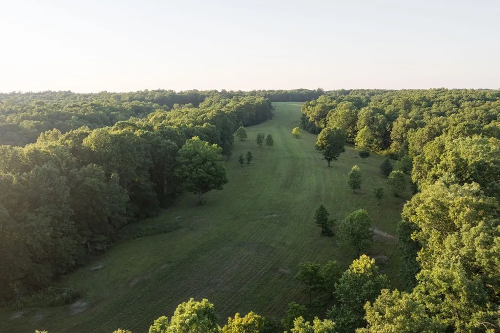 0 Shoals Branch Rd Primm Springs, TN 38476