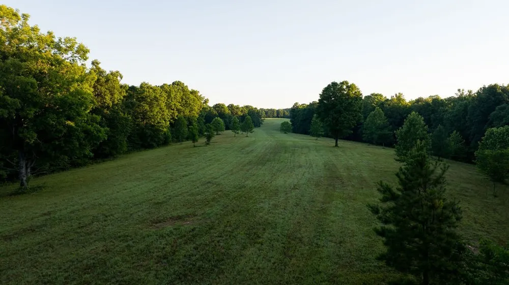 0 Shoals Branch Rd Primm Springs, TN 38476