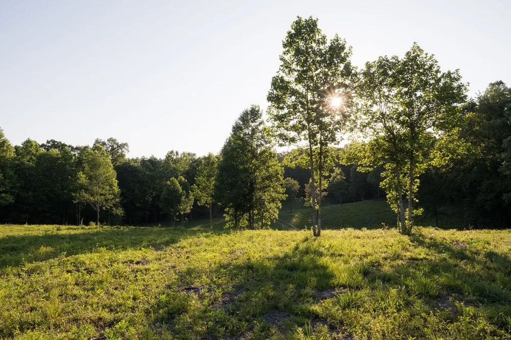 0 Shoals Branch Rd Primm Springs, TN 38476