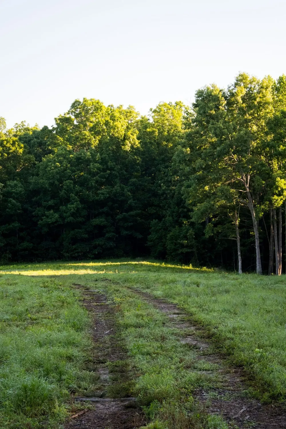 0 Shoals Branch Rd Primm Springs, TN 38476