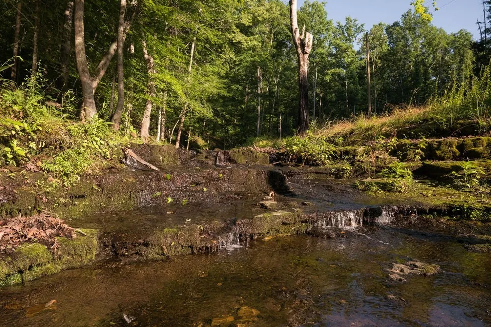 0 Shoals Branch Rd Primm Springs, TN 38476