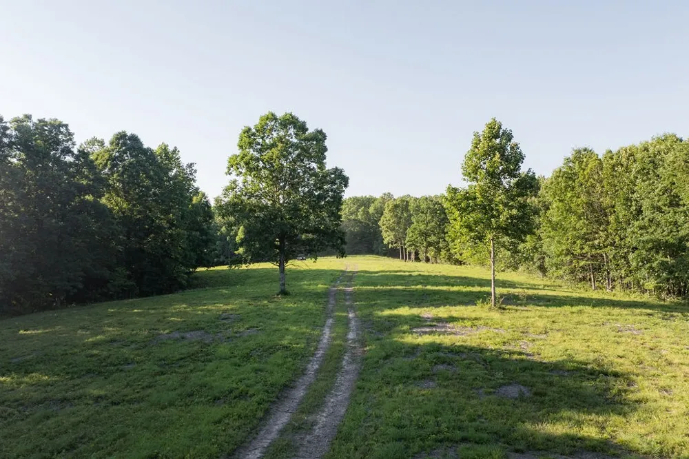 0 Shoals Branch Rd Primm Springs, TN 38476