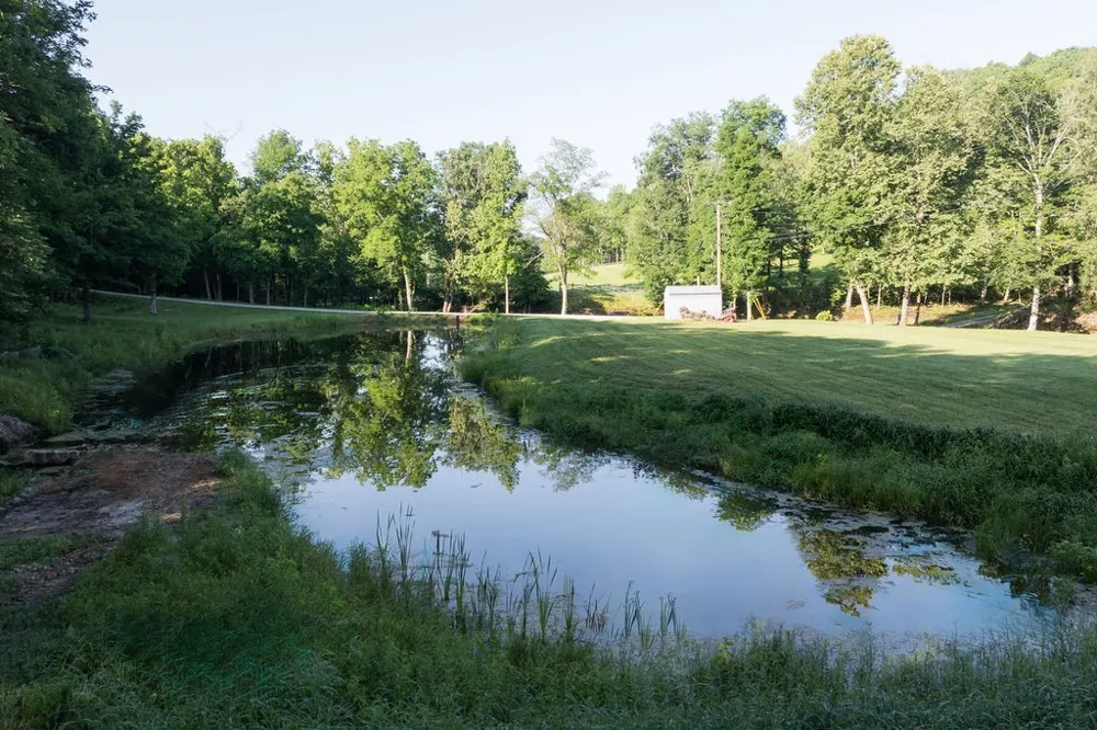 0 Shoals Branch Rd Primm Springs, TN 38476