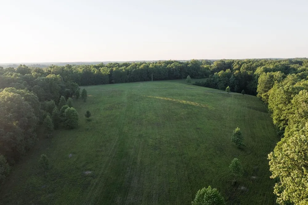 0 Shoals Branch Rd Primm Springs, TN 38476