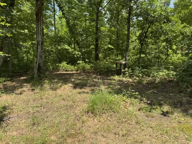 1757 Linden Hwy Hohenwald, TN 38462