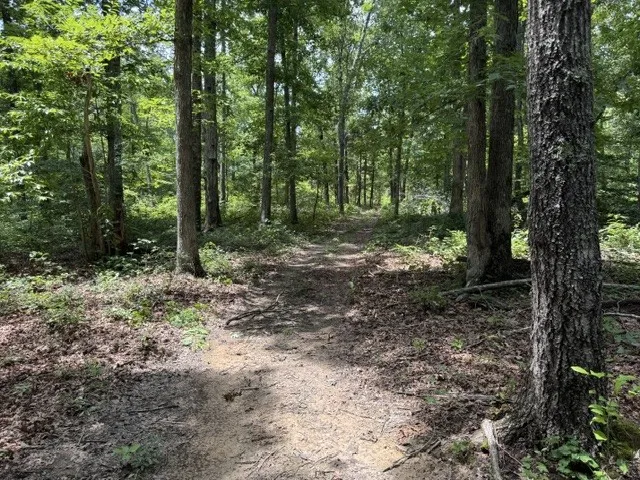1757 Linden Hwy Hohenwald, TN 38462
