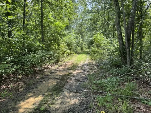 1757 Linden Hwy Hohenwald, TN 38462