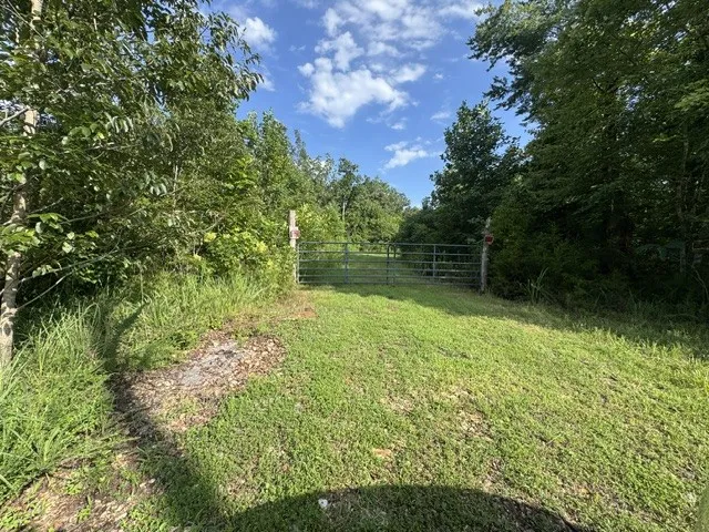 1757 Linden Hwy Hohenwald, TN 38462