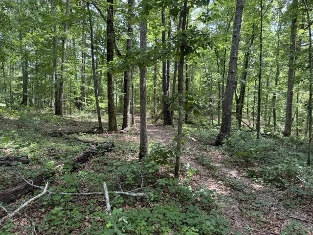 1757 Linden Hwy Hohenwald, TN 38462