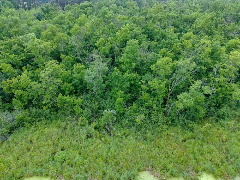 TBD-1 Riverside Road Moose Lake, MN 55767