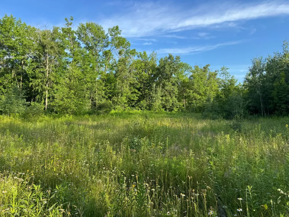 TBD-1 Riverside Road Moose Lake, MN 55767