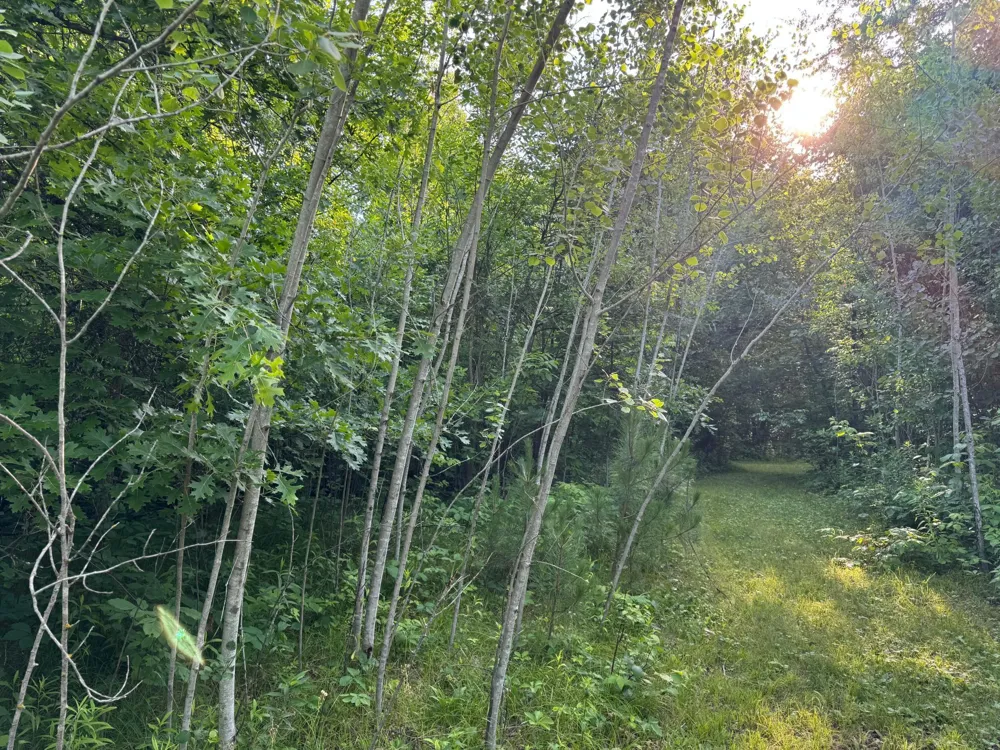 TBD-1 Riverside Road Moose Lake, MN 55767
