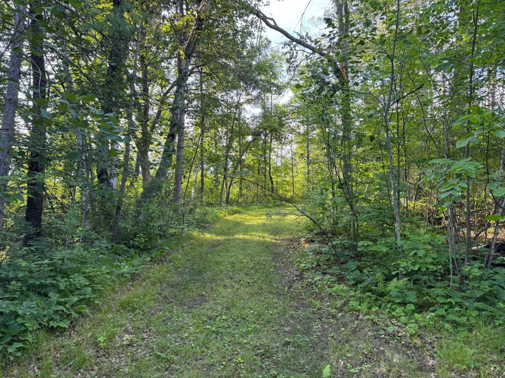 TBD-1 Riverside Road Moose Lake, MN 55767
