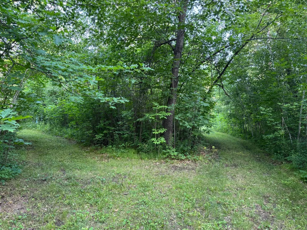 TBD-1 Riverside Road Moose Lake, MN 55767
