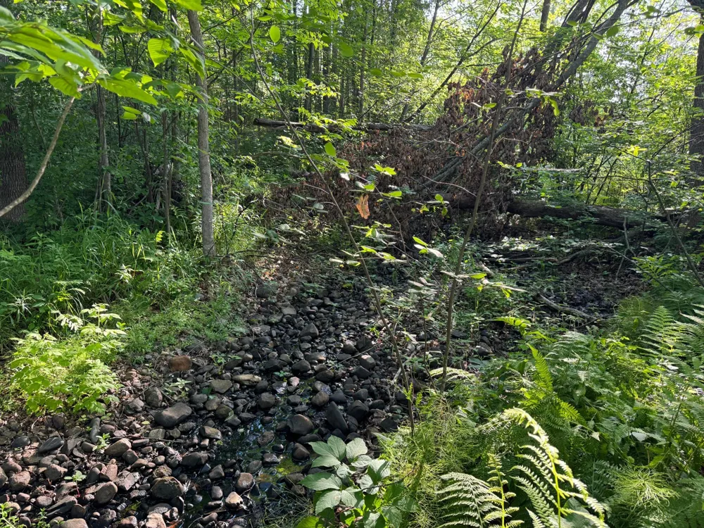 TBD-1 Riverside Road Moose Lake, MN 55767