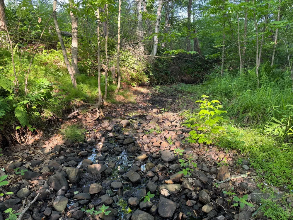 TBD-1 Riverside Road Moose Lake, MN 55767