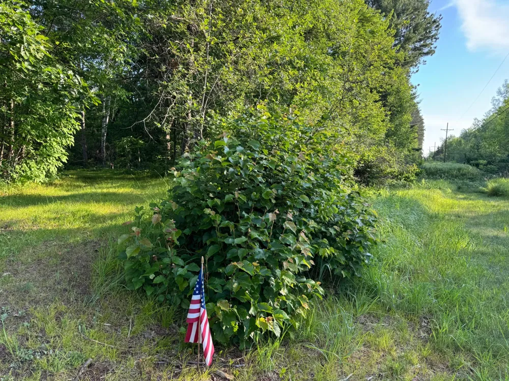 TBD-1 Riverside Road Moose Lake, MN 55767