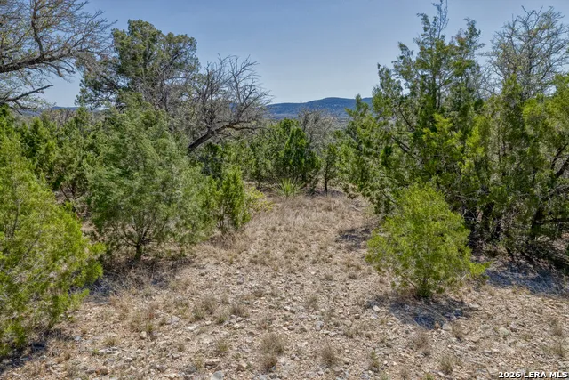 190 FM 2748 Concan, TX 78838