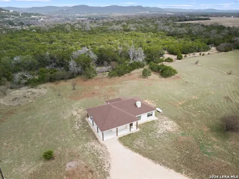 175 Pine Tree