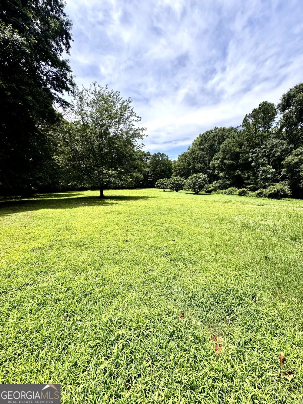 1793 Trice Cemetery RD Thomaston, GA 30286