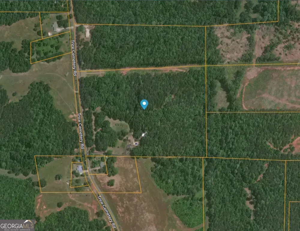 1793 Trice Cemetery RD Thomaston, GA 30286