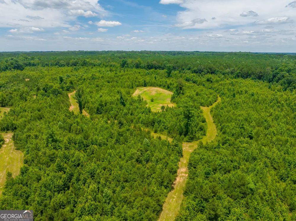 29.3 ACRES Cochran RD Madison, GA 30650
